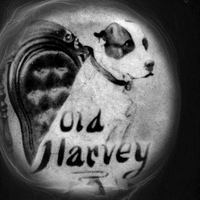 Old Harvey(@OldHarvey666) 's Twitter Profile Photo