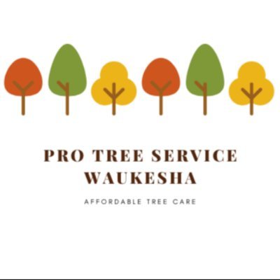 Pro Tree Service Waukesha
503 N West Avenue, Waukesha, WI 53186
262-226-2315