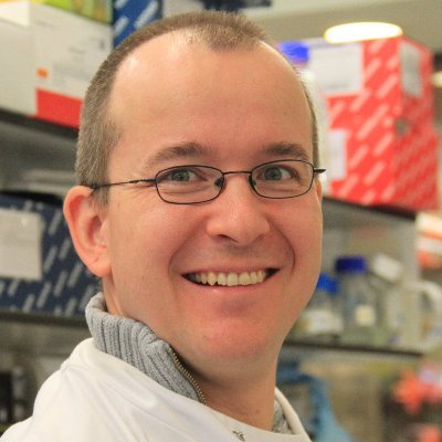Virologist at the MRC-University of Glasgow Centre for Virus Research. Interests in RNA regulation during virus infection @castello_lab @CVRinfo