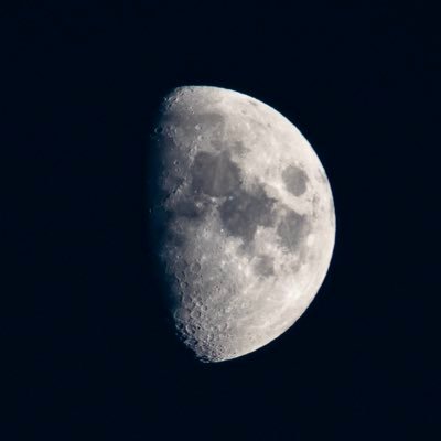 minominoLL's profile picture. 建前と本音の融合を目指します。 奈良のひとが好きな運命。