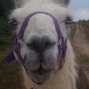 Roger Darling - @roger_darling - Twitter