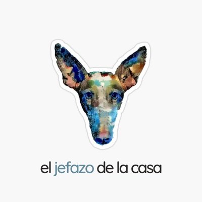 jefazodelacasa's profile picture. 📦 ¡El servicio de suscripción mensual exclusivo para #galgos y #podencos! 🐾🐶 Experiencias, productos y accesorios 🔝