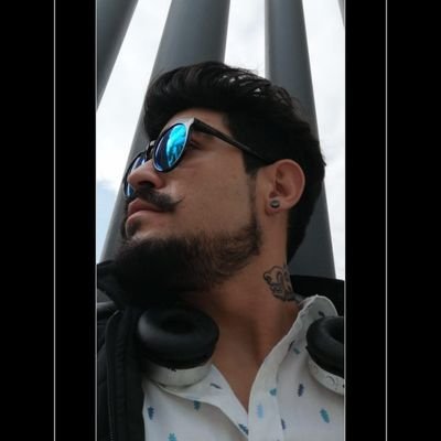 RollerRabbit's profile picture. 