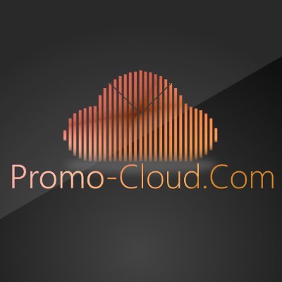 A music promotion platform for record labels, artists and promotion managment firms