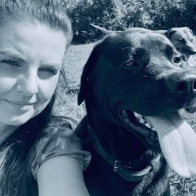 AlexElisaDavid's profile picture. Senior Researcher on Migration & Innovation
at the Institute for Work and Technology 
(@IAT_Innovation) (@IATInstitut)