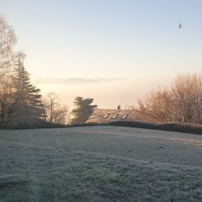 amycrazycatlady's profile picture. 