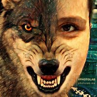 İsmail Mut (@ismailmut866) 's Twitter Profile
