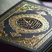 uH6pS1Hg0t9isdp's profile picture. 