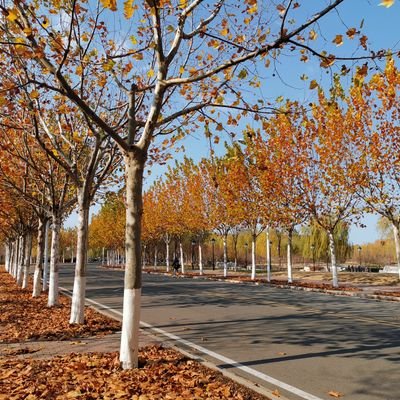 Professor in environmental economics and management at Nankai University