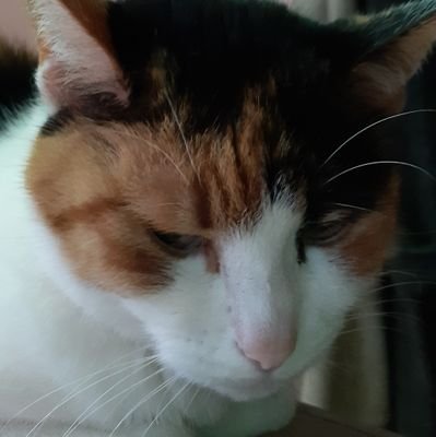 Krystyn44883885's profile picture. W widnokręgu, który objął mnie w dzieciństwie, Ziemia nieść mię będzie w wieczność koło słońca...