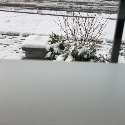 umesalma40's profile picture. 