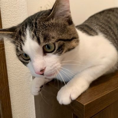 yuu1995428's profile picture. 