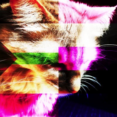 Catie / 8th (000:00:00:00)さんのプロフィール画像