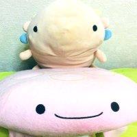 myau (@myau_atcoder) 's Twitter Profile