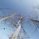 Kenton Stephens - @atx_excursions - Twitter