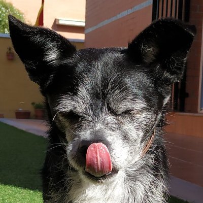 Anai_Felices's profile picture. 