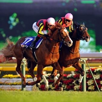 gentleonna's profile picture. 競馬を愛し、競馬に愛されない男😭
ハヴァスの走りに惚れました。次走も本命にします！