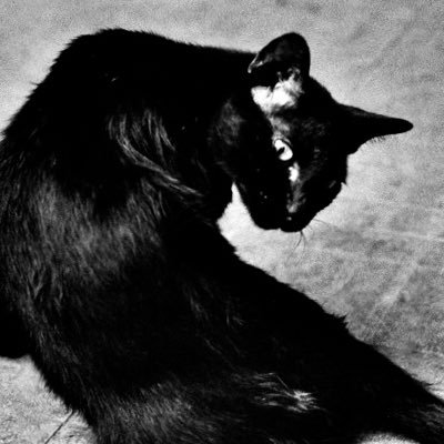 KENTÖさんのプロフィール画像