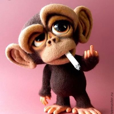 R6Throwin's profile picture. never won a go4 and don’t really give a shxt