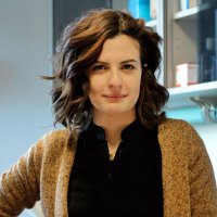 Arianna Vallerga (@vallergaarianna) 's Twitter Profile