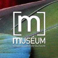 Muséum du Havre(@MuseumLeHavre) 's Twitter Profile Photo