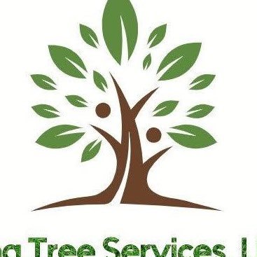 King Tree Services are an emerging, high level, based arboricultural services company. We operate to standards acknowledged within the green industry.