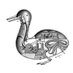 a mechanical duck (@mechanical_duck) Twitter profile photo a mechanical duck (@mechanical_duck) Twitter profile photo