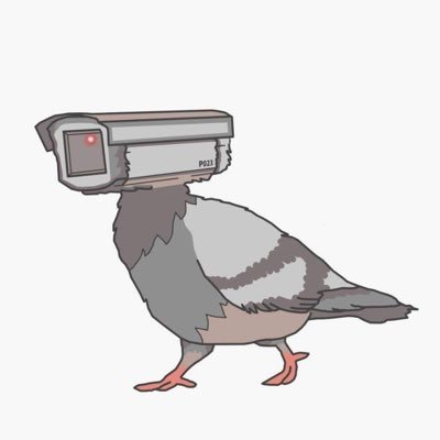 pigeonsarefake Profile Picture