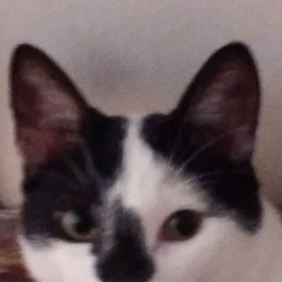 Vrillさんのプロフィール画像