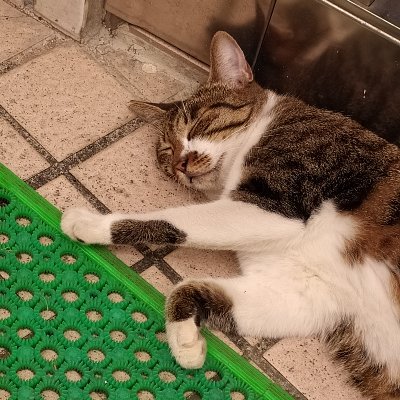 TIMI_1224's profile picture. 🤗