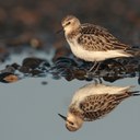 Peter Simpson - @postcardcv - Twitter