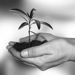 Exova provides accurate, reliable environmental analytical services for a wide variety of oil & gas, commercial, agricultural, government & private clients.