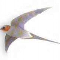 Gokul Ramani (@treeswift) 's Twitter Profile