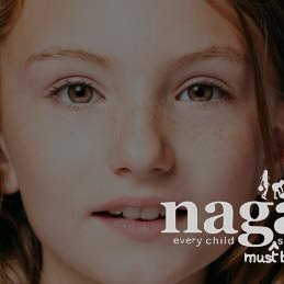 Nagalro is a professional association for social work practitioners who work in the children and families field and represent children in court proceedings.