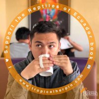 Jorge A. Castillo C. (@jacastilloc89) 's Twitter Profile