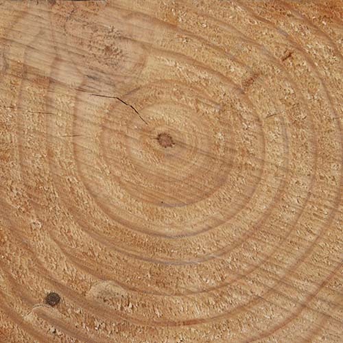 by @alexschreyer -- Posts related to wood, wood design and timber engineering.