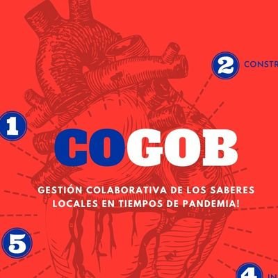 CoGob Profile