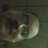 phil330's profile image