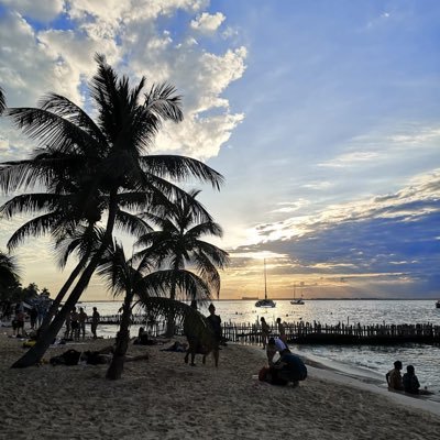 milicijano1's profile picture. Ⓜ️