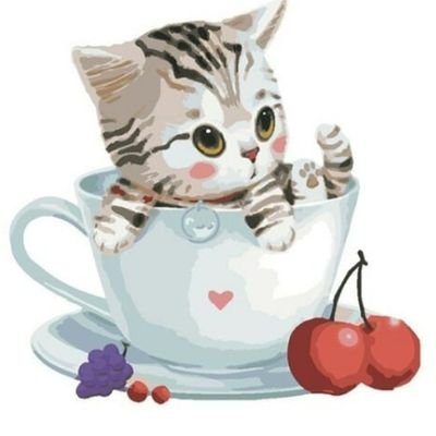 love cat❤️❤️