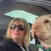 Jayne & Lilly ๐ (@nancekivell73) Twitter profile photo Jayne & Lilly ๐ (@nancekivell73) Twitter profile photo