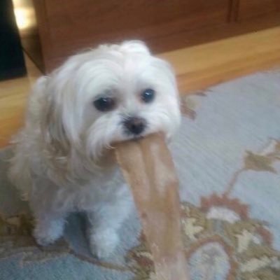 boys_are_toys's profile picture. 