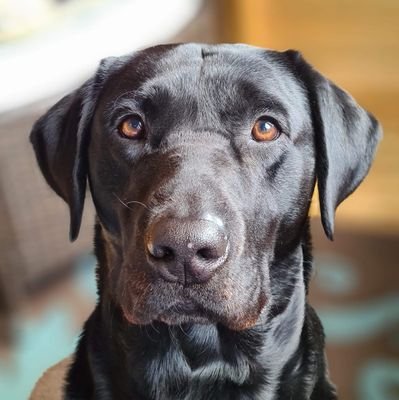 StuartWinstanl3's profile picture. Accociate at RG Parkins
Principle Designer