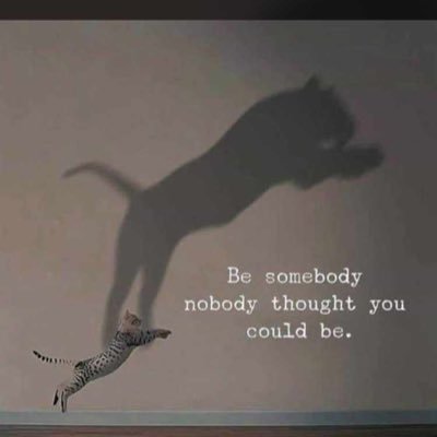 shawley27827658's profile picture. 🌹🌹