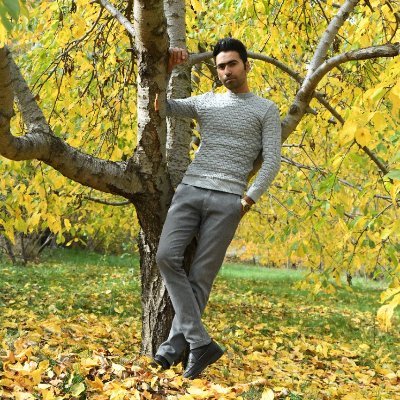 vahidmirka's profile picture. Programer
NFT Maker