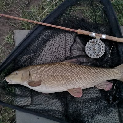 In pursuit of barbel - since 1977.
Sixty-plus anglers nationwide, within eight regional groups