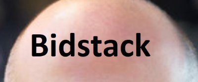 BidstackF's profile picture. Forehead