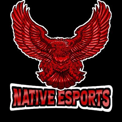 Building a Supportive Indigenous Gaming Community for 1st Nation, Indigenous, & Native Gamers | Platforms: Xbox | PS4 | PC |