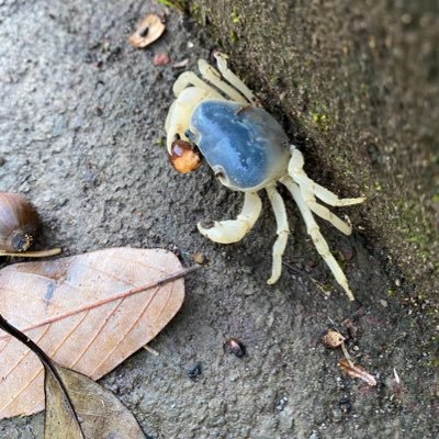 写真撮影、山歩き、手芸、手焙煎コーヒーなど趣味でやっています。