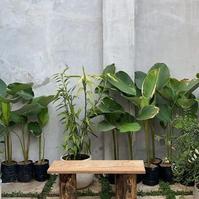 lzcluel's profile picture. just skip it. won't be interesting.